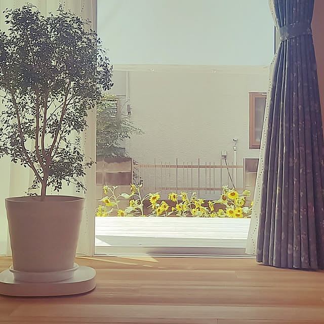 Taku38さんの実例写真
