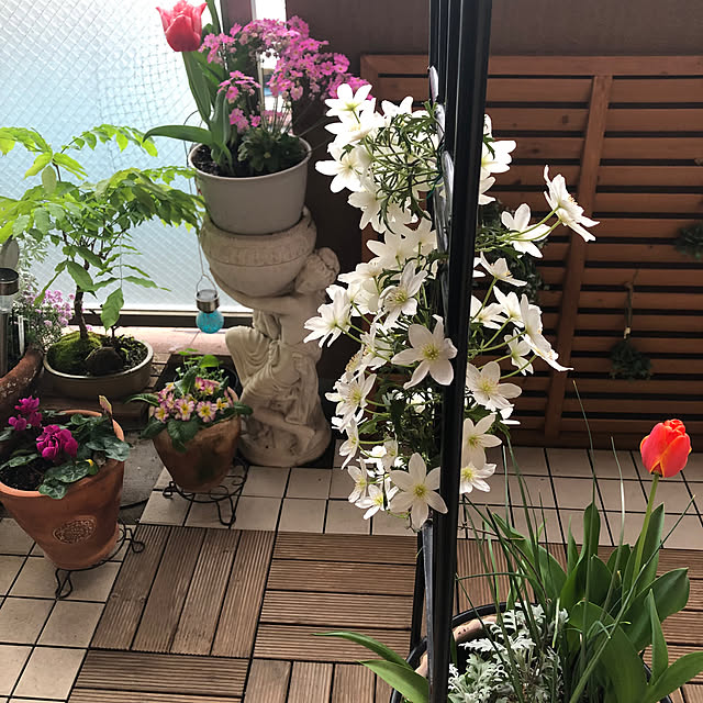 milkteaさんの部屋