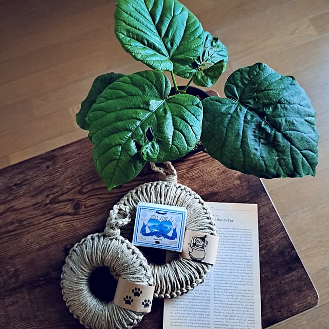 noaさんの部屋