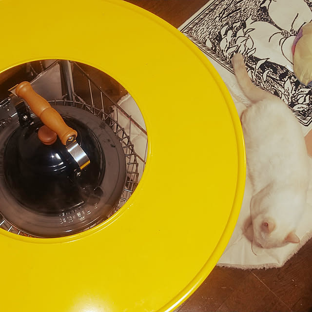 Yさんの実例写真