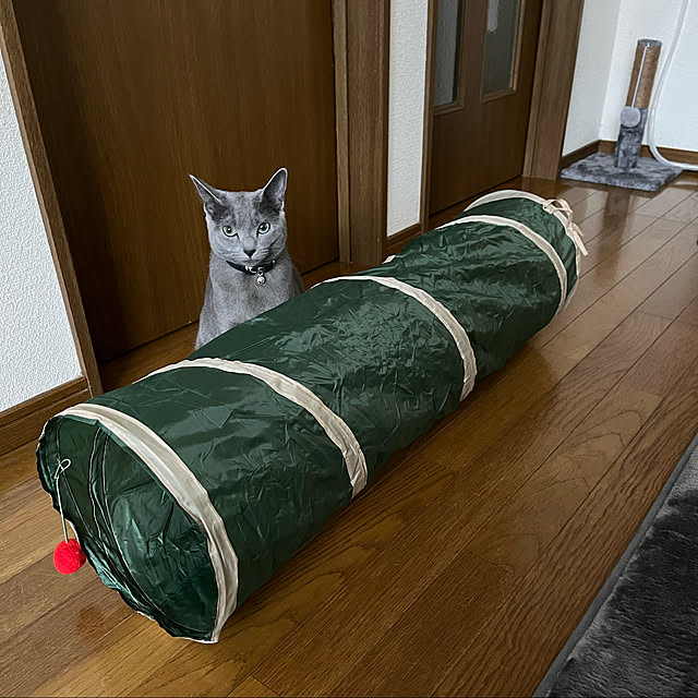 kyonさんの実例写真