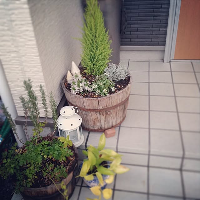 ruruさんの実例写真