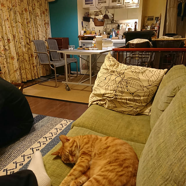 okyosan101さんの実例写真