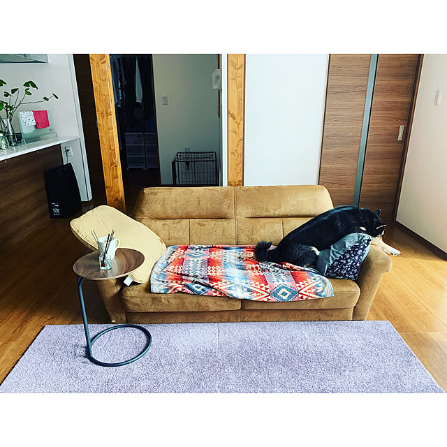 Megumiさんの実例写真