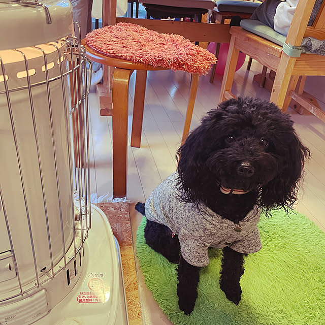 bkさんの実例写真