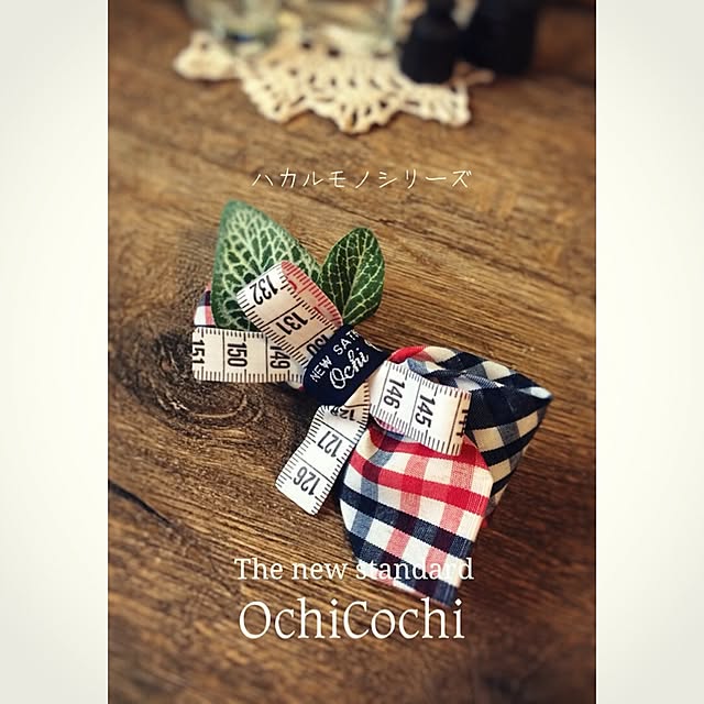 ochicochiさんの実例写真