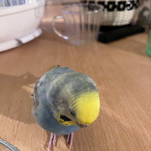 Atsukoさんの部屋