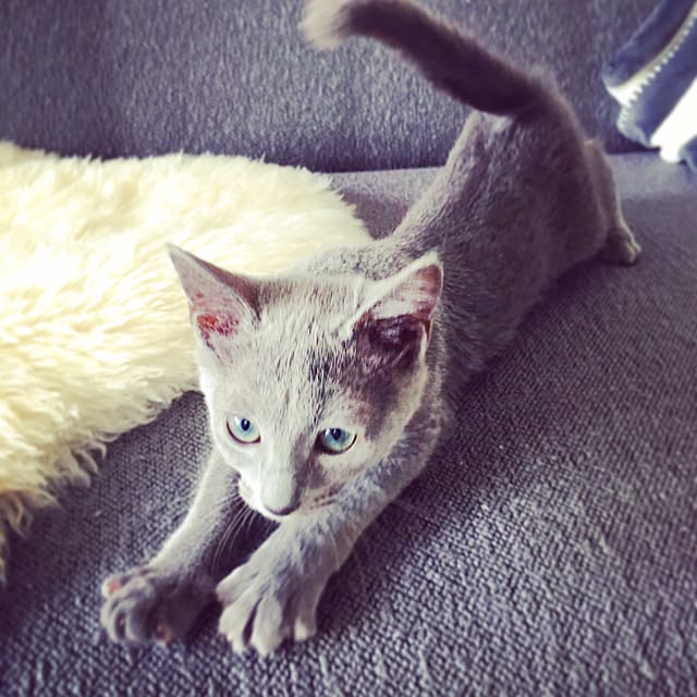 vさんの実例写真