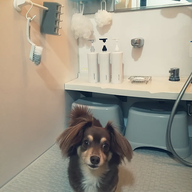 rikakoさんの実例写真