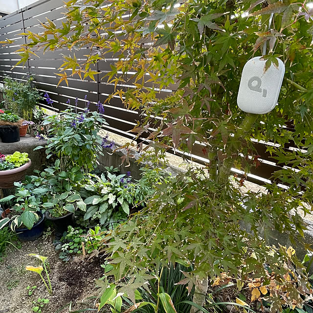 buchiさんの実例写真