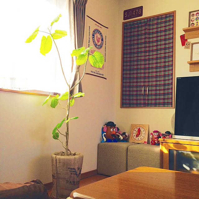 masami23yさんの実例写真