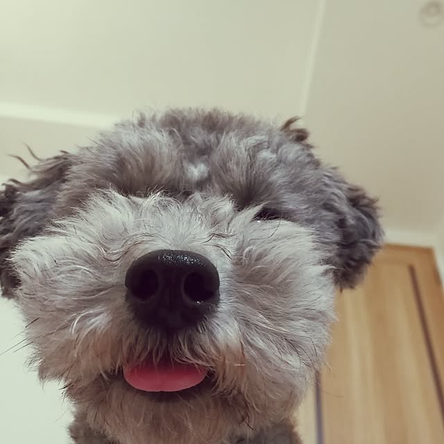 momoさんの実例写真