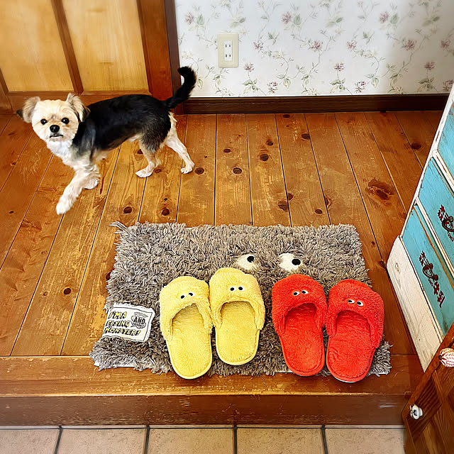 meさんの実例写真
