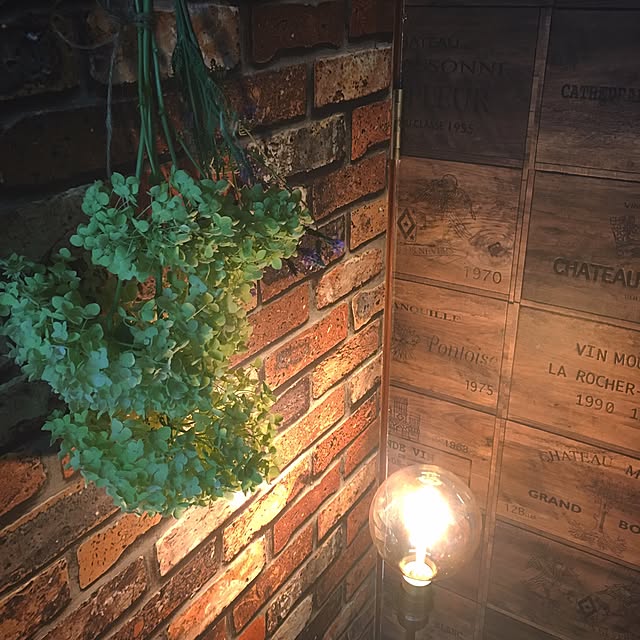 onokenkoさんの実例写真