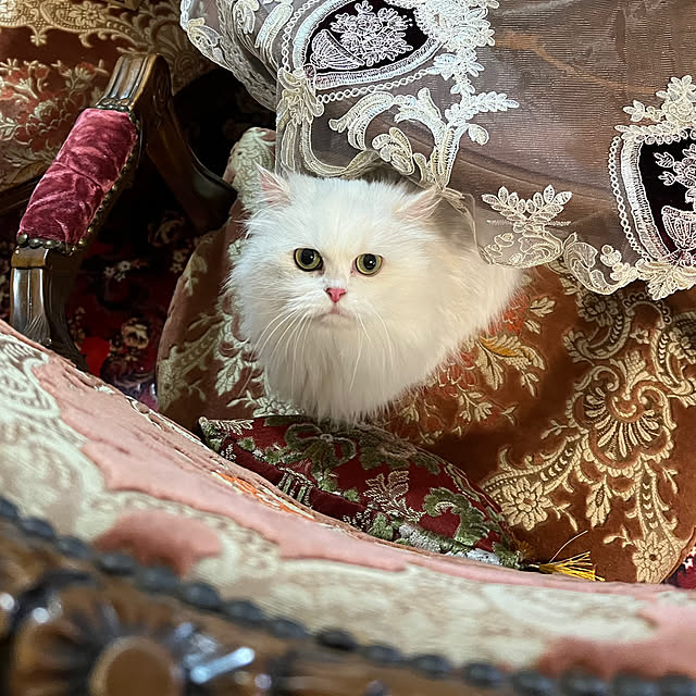 AYUKOさんの部屋