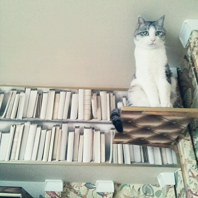 emmyyさんの実例写真