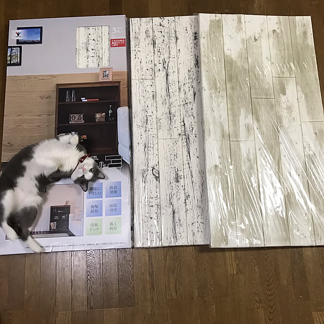 mucc08さんの実例写真