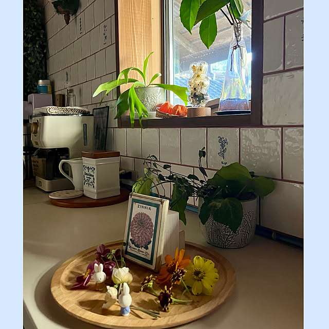 cotaさんの部屋