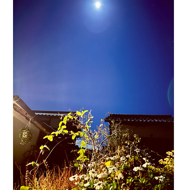 cotaさんの実例写真