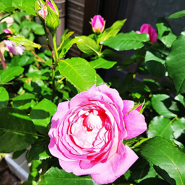 mimi828さんの実例写真