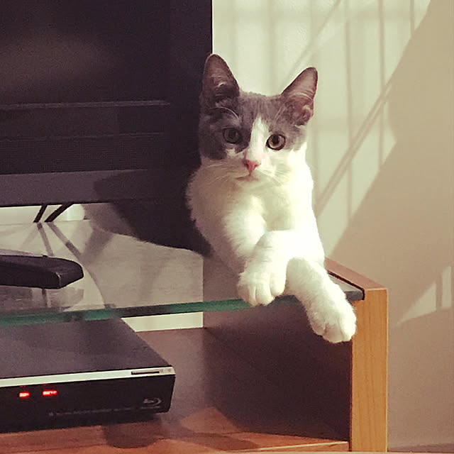 MiRiderさんの実例写真