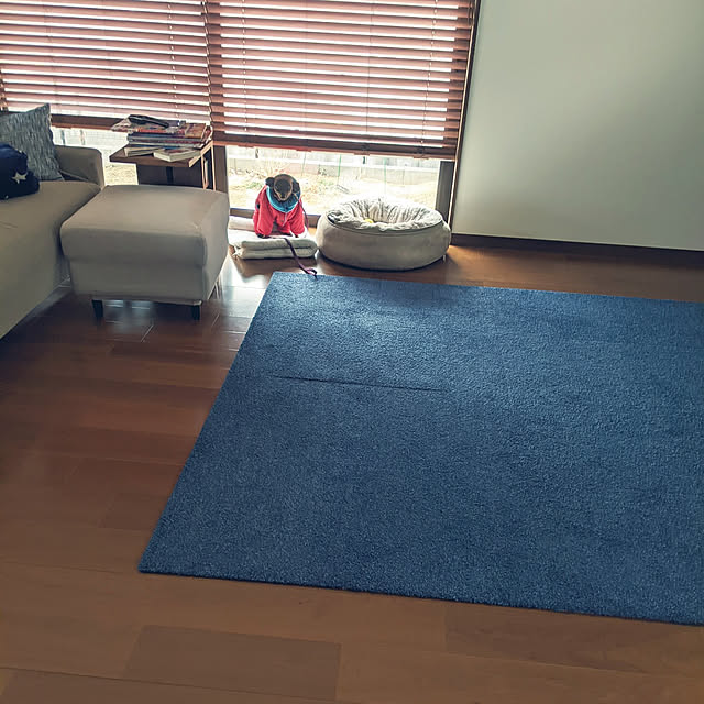 shizuponさんの実例写真