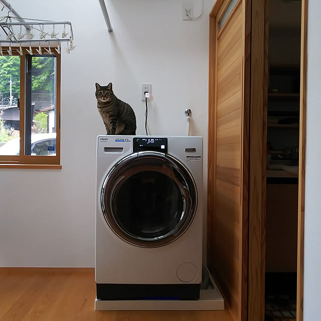 youkoasaさんの実例写真
