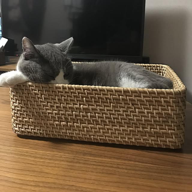 hacchiさんの実例写真