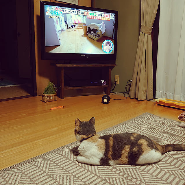 fukuさんの実例写真