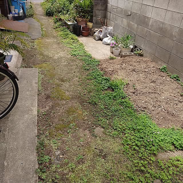 JUNKOさんの部屋