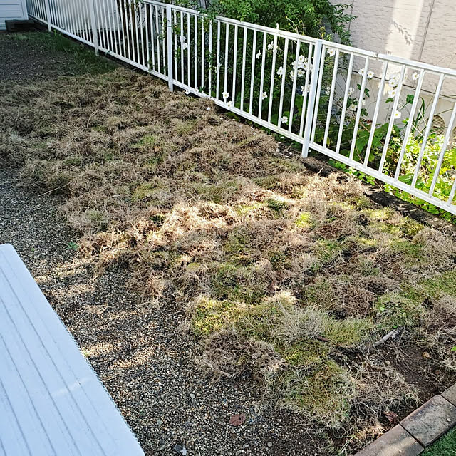 Makoさんの実例写真