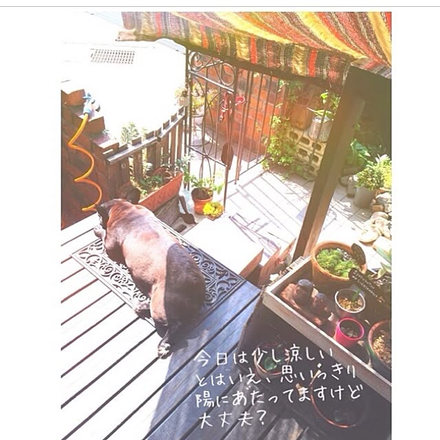 38coreさんの実例写真