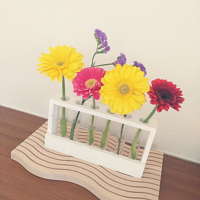 tan5さんの部屋