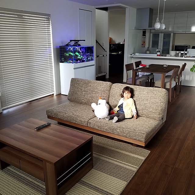 部屋全体のインテリア実例 - 2021-05-06 00:51:37