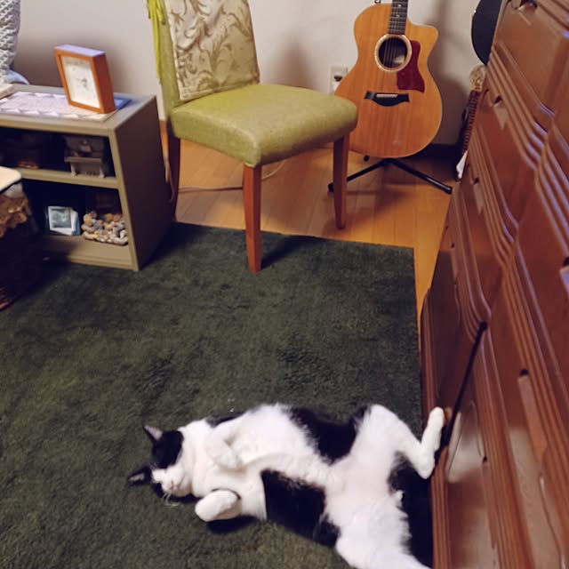 anzuさんの実例写真