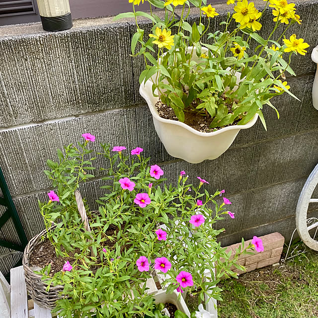YuuKoさんの部屋
