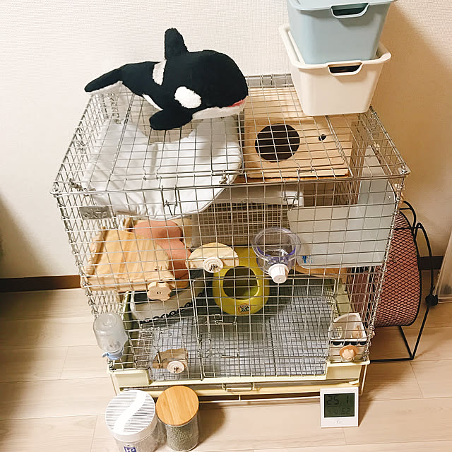 yumyumさんの実例写真