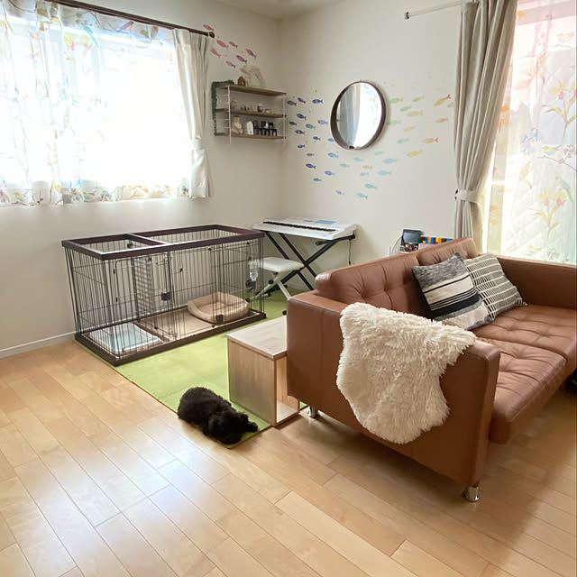 sasaeriさんの実例写真