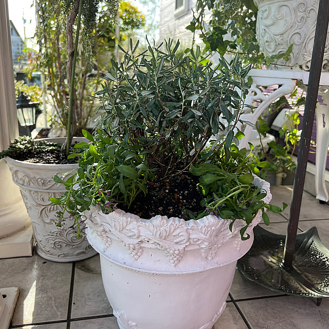 AYUKOさんの部屋