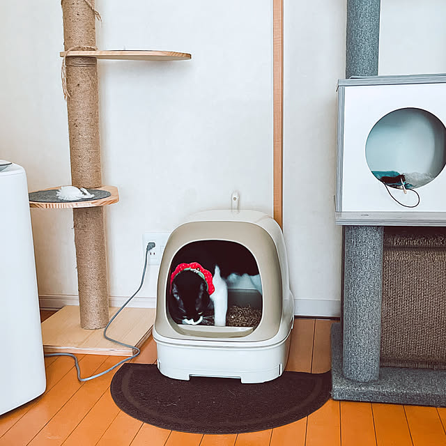 moolさんの部屋