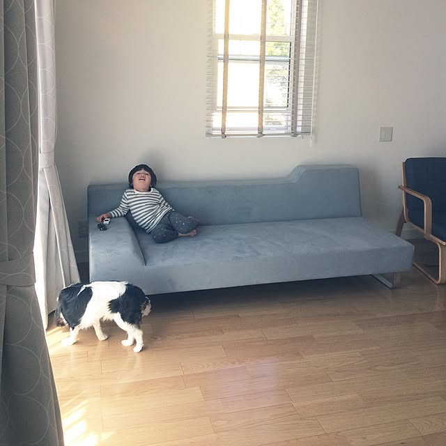 apiさんの実例写真