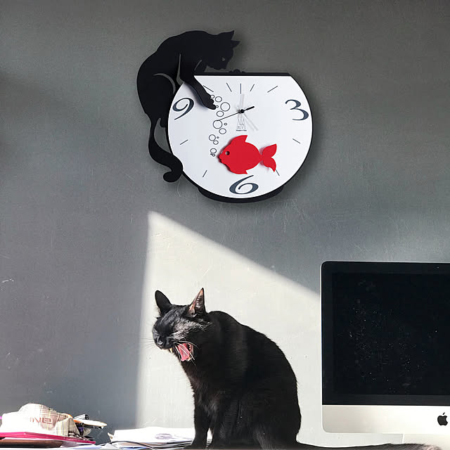 SOPHIASさんの実例写真