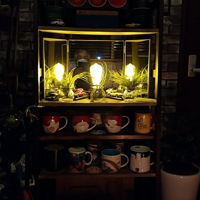 実例写真