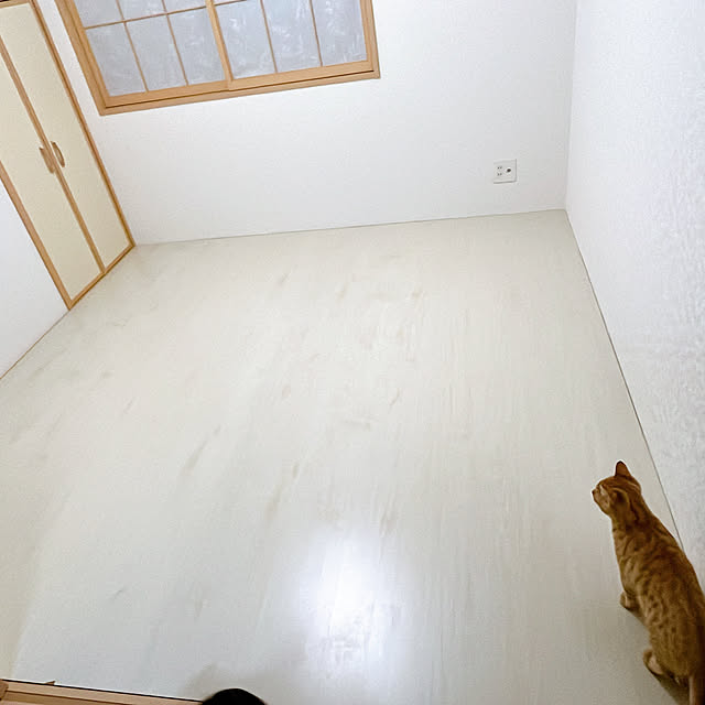 rinさんの部屋
