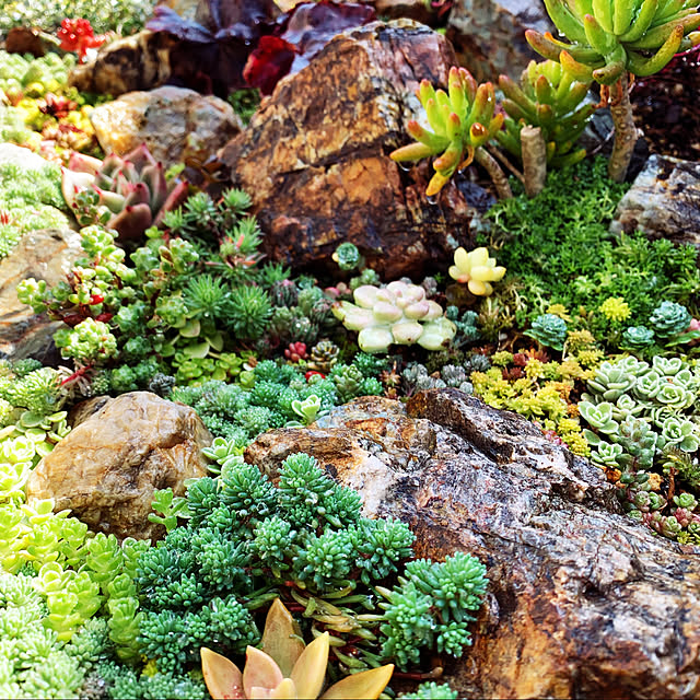 botanical884さんの実例写真