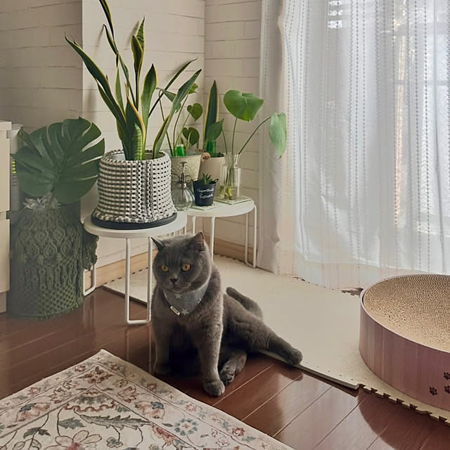 kittyさんの部屋
