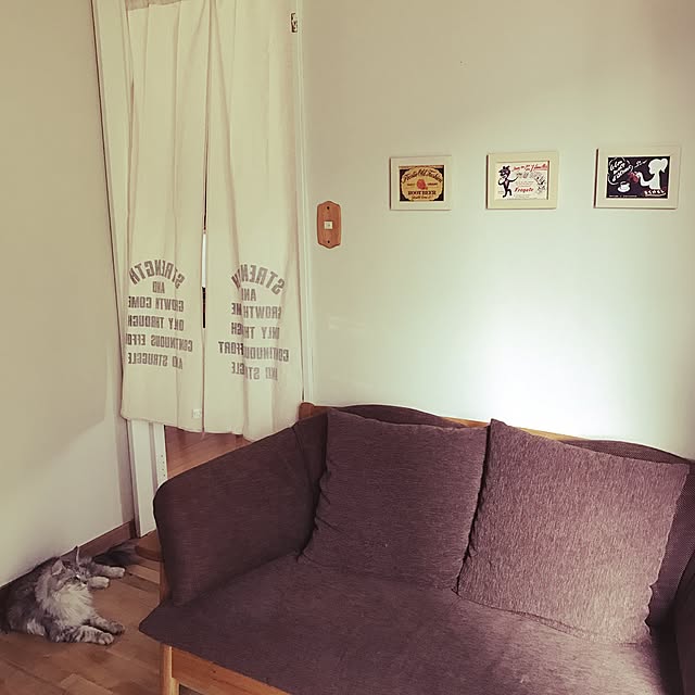 miiさんの実例写真