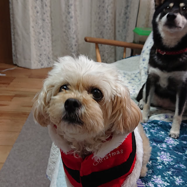 mtさんの実例写真