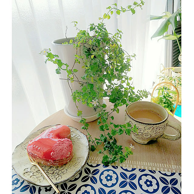umiumiさんの実例写真