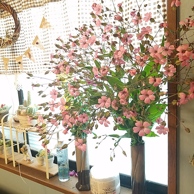 Chiさんの実例写真